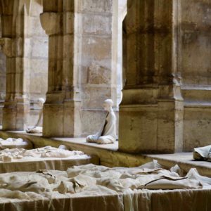 Bienveillants et Dormeurs blancs - 2017