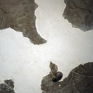 Lac du printemps - 2008, plâtre et terre cuite, 54 x 65 cm