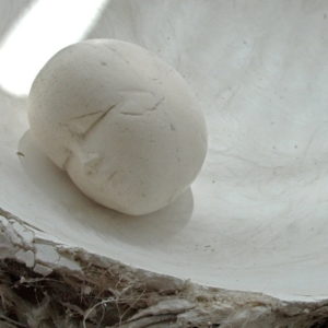 Coquille d'Anna (Détail) - 2006, fer, plâtre, racines et terre cuite, diam. 30 cm