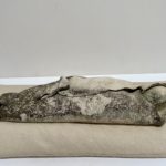 dormeur coquillage